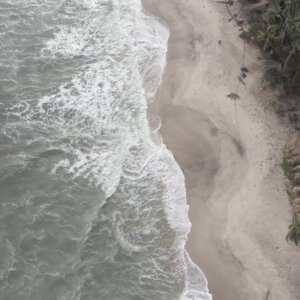 Beach Ocean Top Down Reveal Coconuts Sandy Clean