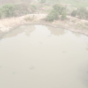 Community Pond Fetch Water Dry