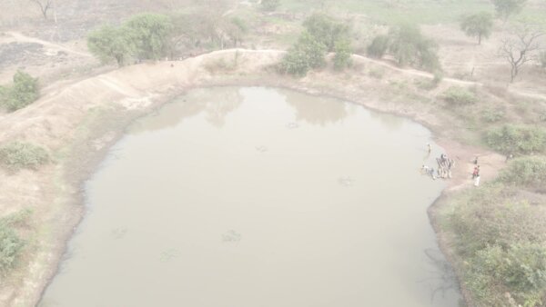 Community Pond Fetch Water Dry