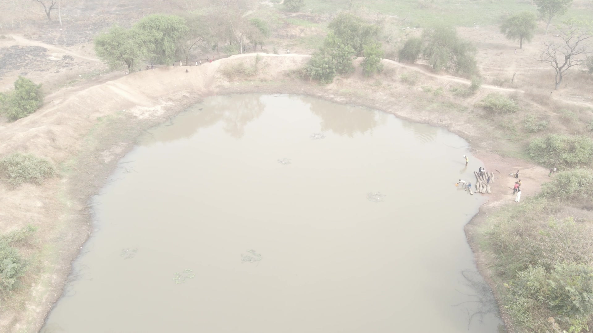 Community Pond Fetch Water Dry