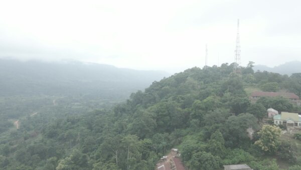 Fog Town Hill Vegetation Forest Green Towers Network