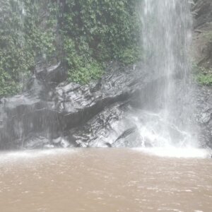 Waterfalls Pond Rocks Clean Vegetation