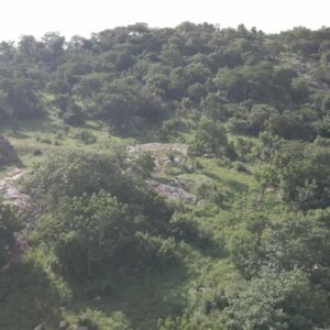 Fly Over Hill Reveal River Vegetation