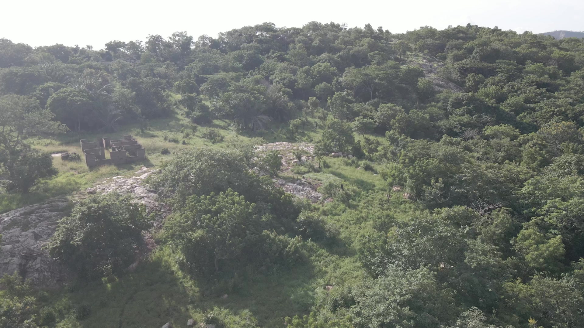 Fly Over Hill Reveal River Vegetation