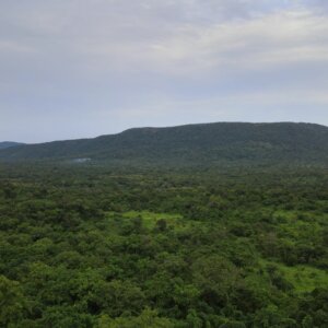 Lanscape Grassland Mountain Hills Vegetation