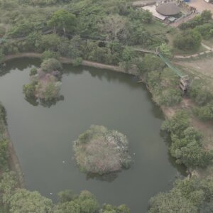 Legon Botanical Garden Aerial View Lake Water Trees