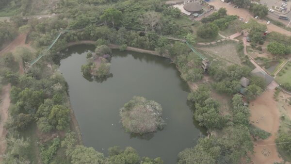 Legon Botanical Garden Aerial View Lake Water Trees