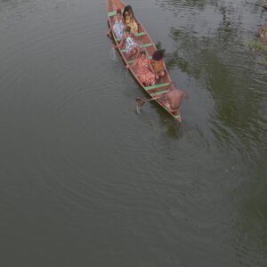 Legon Botanical Garden Boat Island Birds Scene 2