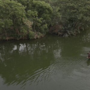 Legon Botanical Garden Boat Island Birds Scene 3