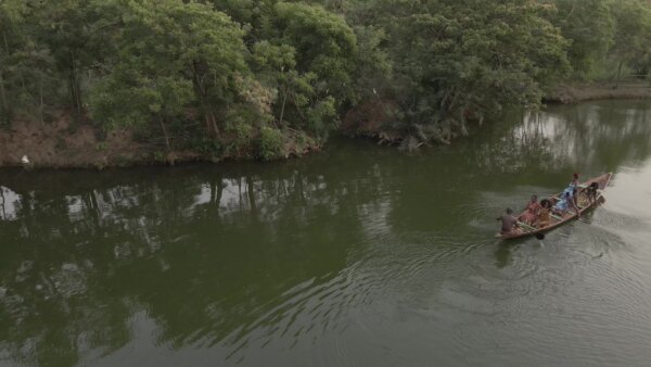 Legon Botanical Garden Boat Island Birds Scene 3