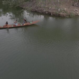 Legon Botanical Garden Boat Island Birds Scene 4