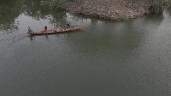 Legon Botanical Garden Boat Island Birds Scene 4