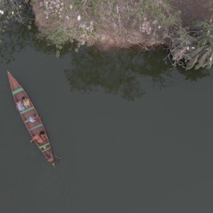 Legon Botanical Garden Boat Island Birds