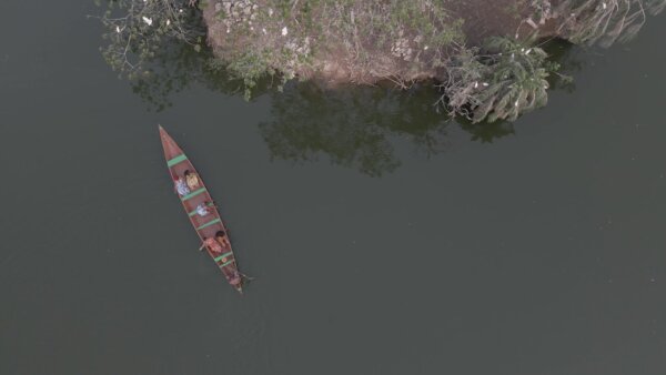 Legon Botanical Garden Boat Island Birds