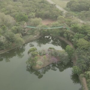 Legon Botanical Garden Lake Vegation Walkway Arc