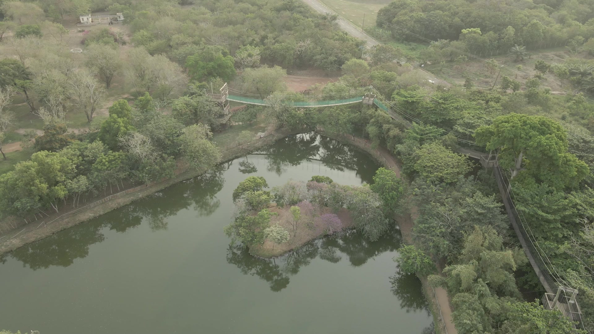 Legon Botanical Garden Lake Vegation Walkway Arc