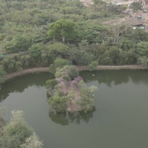 Legon Botanical Garden Lake Vegation Walkway Orbit 360 Full