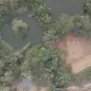 Legon Botanical Garden Top Down View Lake Pan Full