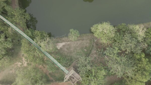 Legon Botanical Garden Top Down View Spin Hanging Walkway