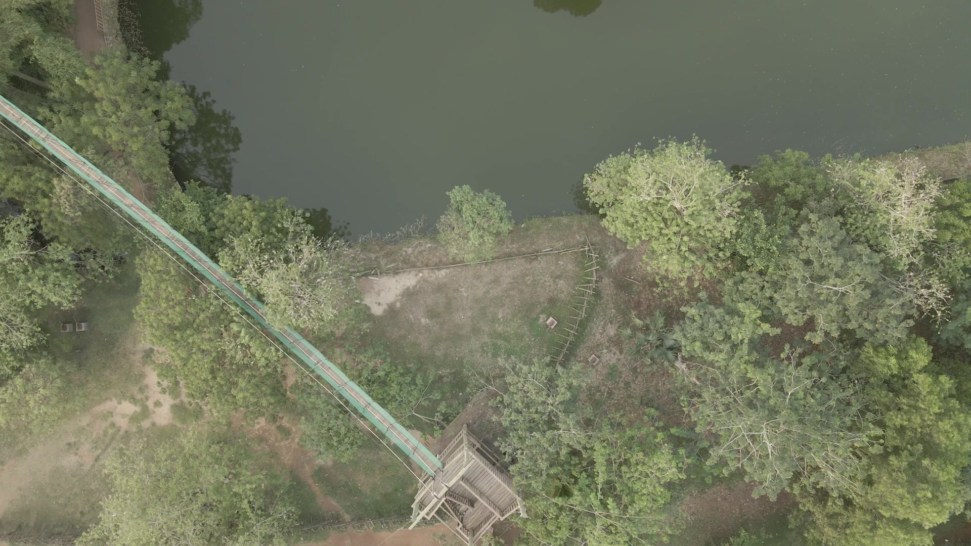 Legon Botanical Garden Top Down View Spin Hanging Walkway