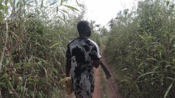 Boy Walking Cutlass Pathway Farm