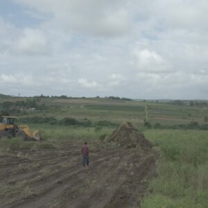 Construction Bulldozer Clears Land Site