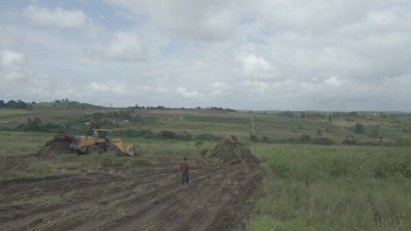 Construction Bulldozer Clears Land Site