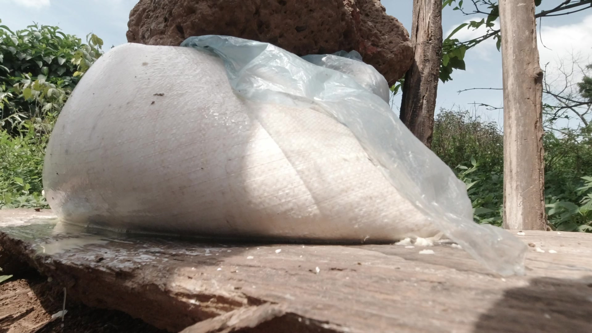 Draining Water Cassava Dough