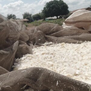 Dried Cassava Dough Flakes