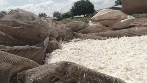 Dried Cassava Dough Flakes