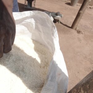 Man Woman Feels Texture Of Gari