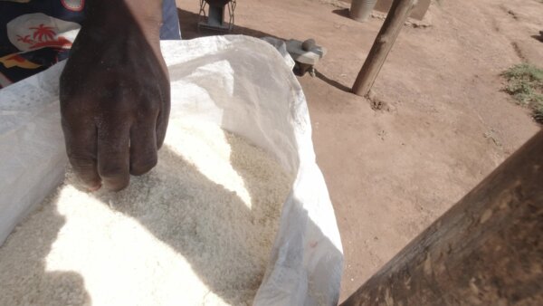 Man Woman Feels Texture Of Gari