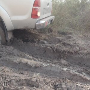 Pick Up Truck Stuck Mud Toyota