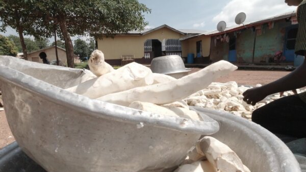 Quick Creating Cassava Dough Millling Machine