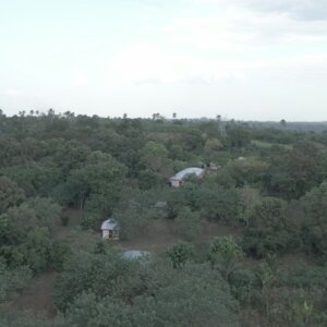 Remote Settlement Community Houses Forest