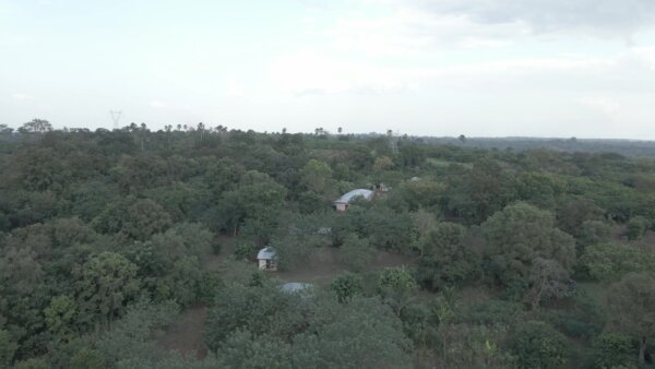 Remote Settlement Community Houses Forest