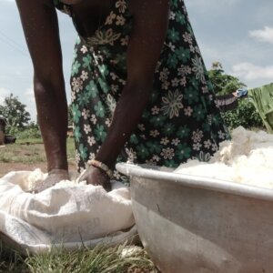 Woman Cassava Dough Packaging In Bag