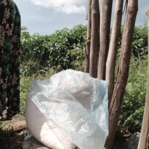 Woman Puts Load On Cassava Dough Squeezing