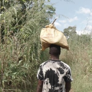 Young Boy Carrying Farm Produce