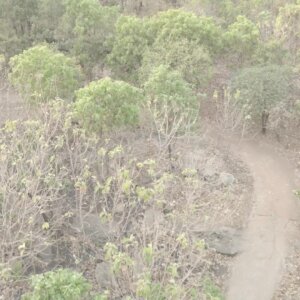 Pathway To Village Dry Season Dusty