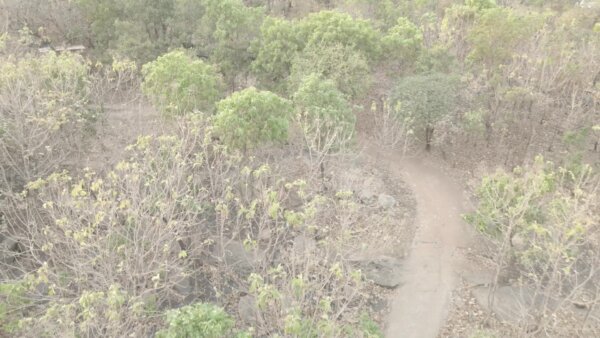 Pathway To Village Dry Season Dusty