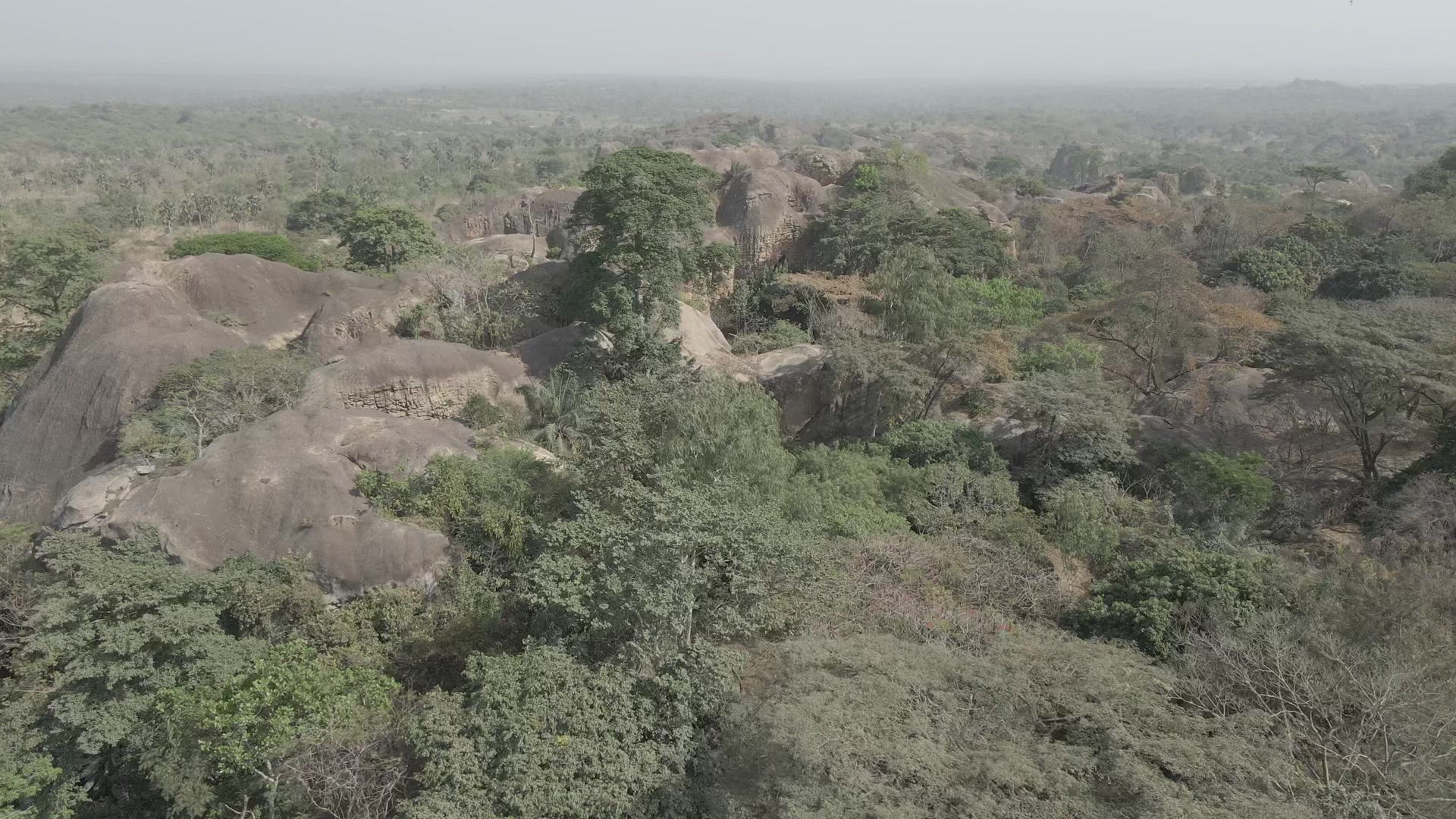 Rock Hill Landscape Vegetation Grassland Orbit Arc