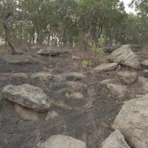 Rocks Landscape Pan View