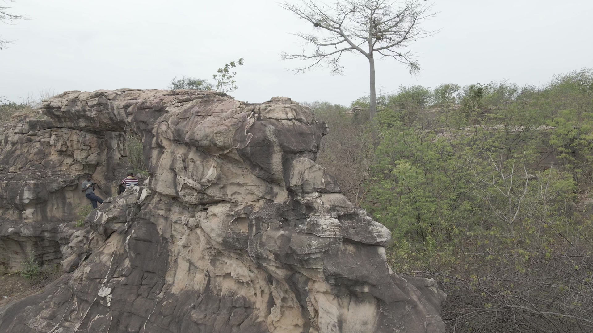 Sesiamang Arc Rock Fly Pass