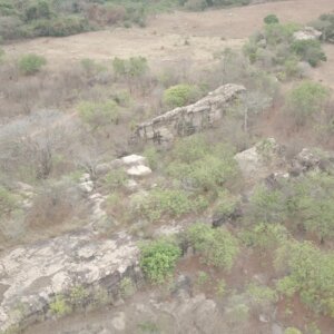 Sesiamang Landscape Pan Reverse