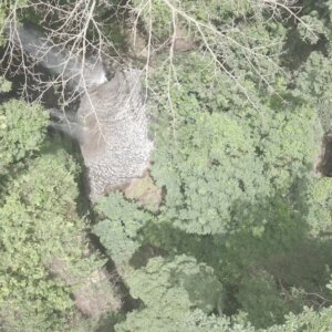 Top Down View Beautiful Clean Water Green Vegetation Forest